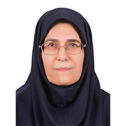 خانم میرحسینی