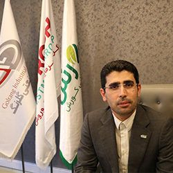 برهانی
