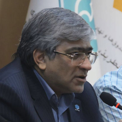 سیدمهدی سادات حیات شاهی